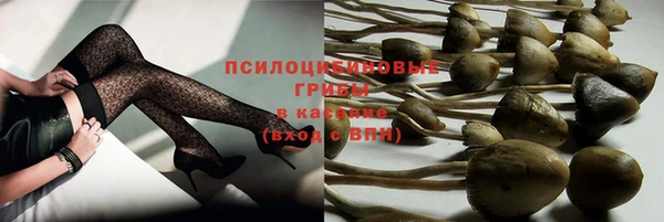 крисы Алзамай