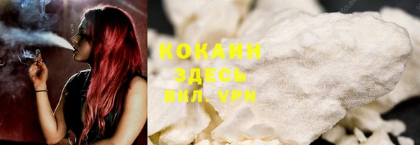 крисы Алзамай