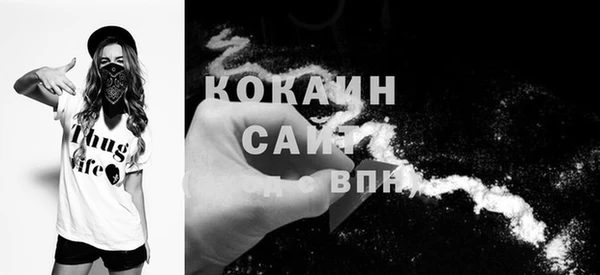 крисы Алзамай